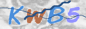 Image Anti-spam